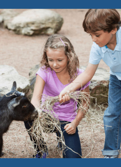 Image of children at petting zoo