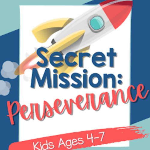 Secret Mission: Perseverance